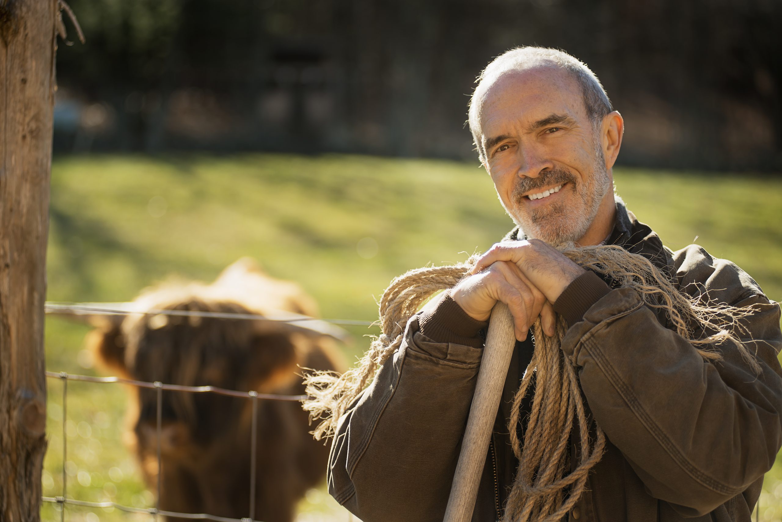 Organic Farm,USA,A man with a wooden staff and a coil of rope beside an animal pen. A highland cow with horns. Working on an organic farm